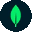 「MongoDB」网站图标