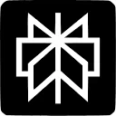 「Perplexity」网站图标