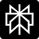 「Perplexity」网站图标