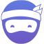 「Lapa Ninja」网站图标